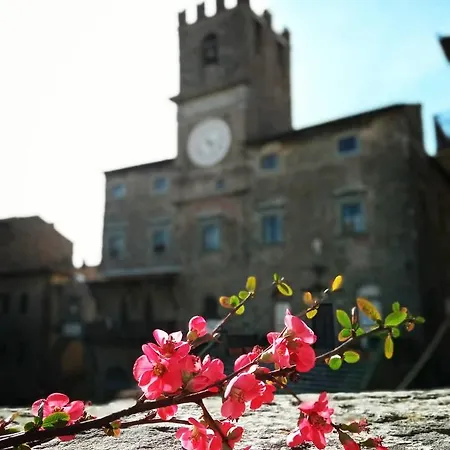 Io E Te Centro Storico - Seconda Doccia Su Romantica Corte Lejlighed Cortona