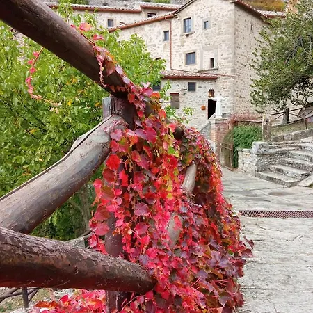 Io E Te Centro Storico - Seconda Doccia Su Romantica Corte Appartement Cortona