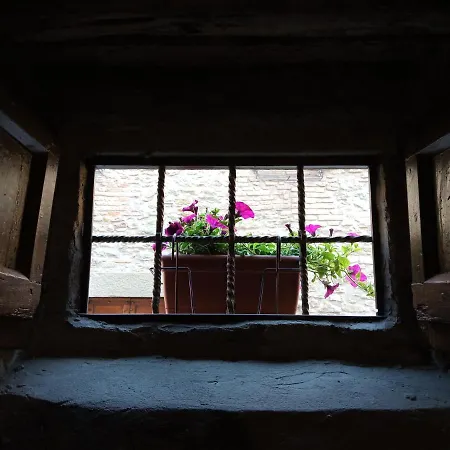 Διαμέρισμα Io E Te Centro Storico - Seconda Doccia Su Romantica Corte