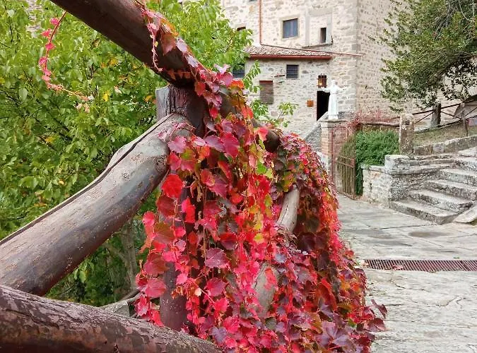 Io E Te Centro Storico - Seconda Doccia Su Romantica Corte Appartement Cortona